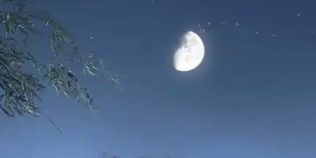 逆水寒手游童稚之交怎么过-童稚之交奇遇攻略
