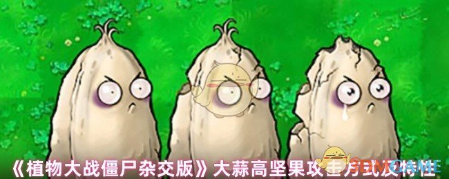 《植物大战僵尸杂交版》大蒜高坚果攻击方式及特性
