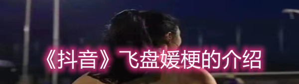《抖音》飞盘媛梗的介绍