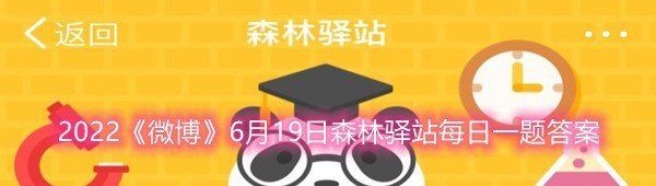 2022《微博》6月19日森林驿站每日一题答案