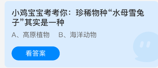 小鸡宝宝考考你：珍稀物种“水母雪兔子”其实是一种