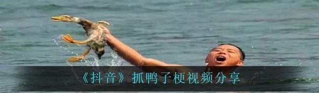 《抖音》抓鸭子梗视频分享