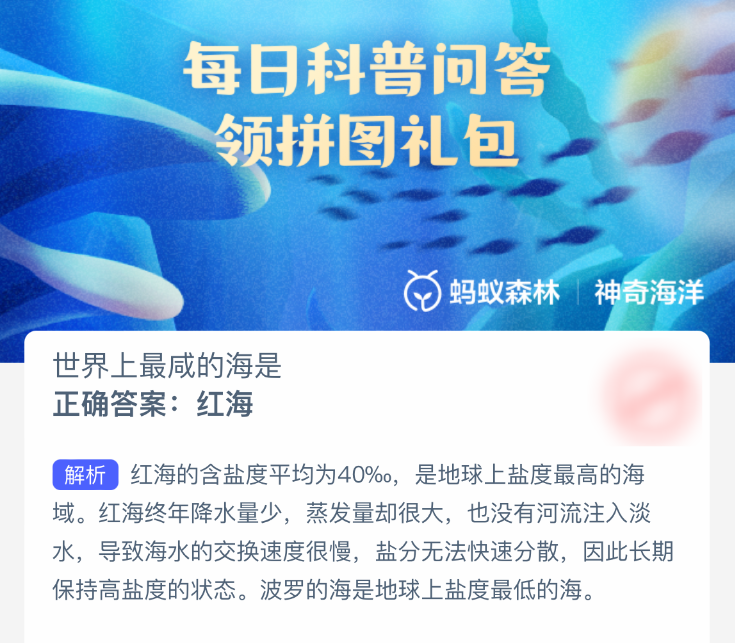 世界上最咸的海是