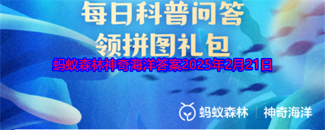 海豚的声呐系统位于哪里