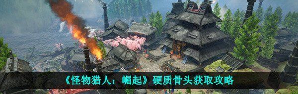 《怪物猎人：崛起》硬质骨头获取攻略