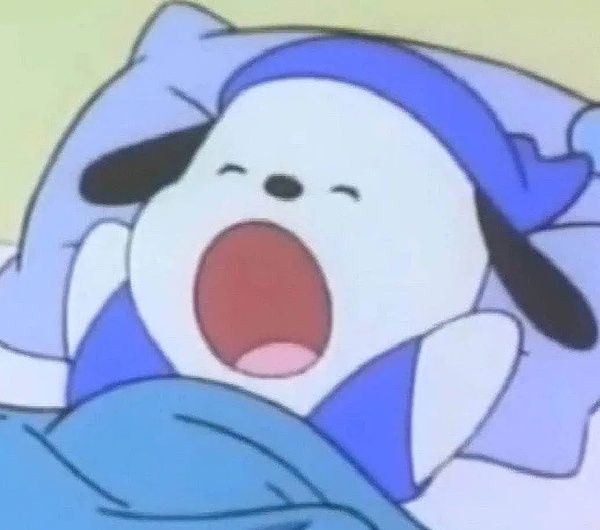 帕恰狗意思介绍