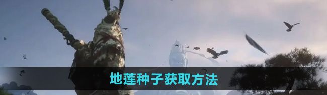 《黑神话悟空》地莲种子获取方法