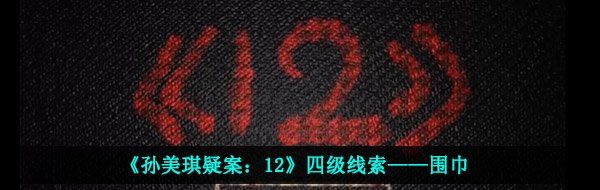 《孙美琪疑案：12》四级线索——围巾