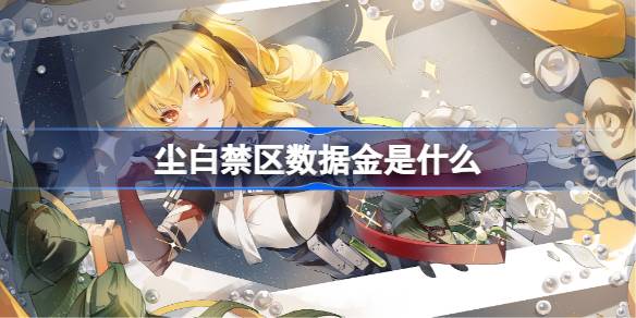 尘白禁区数据金是什么 尘白禁区数据金道具介绍