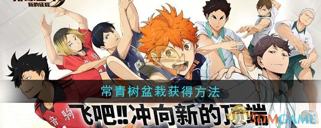 《排球少年：新的征程》常青树盆栽获得方法