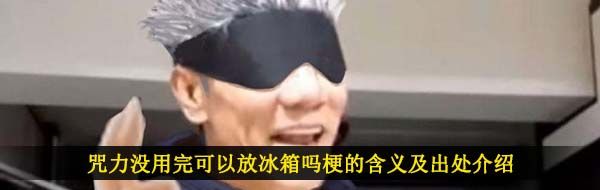 咒力没用完可以放冰箱吗梗的含义及出处介绍