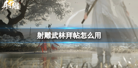 射雕武林拜帖怎么用