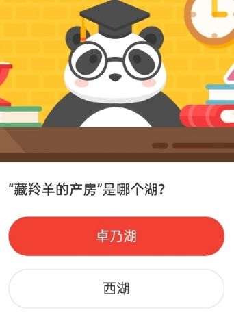 2021《微博》2月1日森林驿站每日一题答案