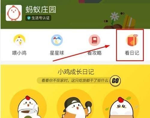 2021《支付宝》1月2日每日一题答案