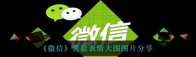 《微信》黄脸表情大图图片分享