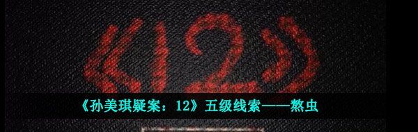《孙美琪疑案：12》五级线索——熬虫