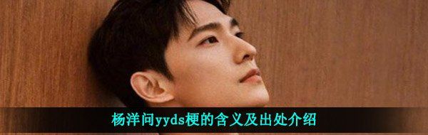杨洋问yyds梗的含义及出处介绍