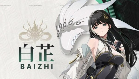 鸣潮白芷声骸怎么选择-白芷声骸选择推荐
