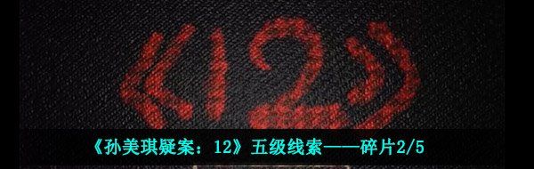 《孙美琪疑案：12》五级线索——碎片2/5