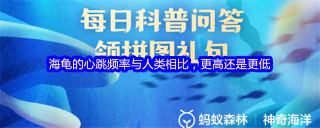 海龟的心跳频率与人类相比，更高还是更低