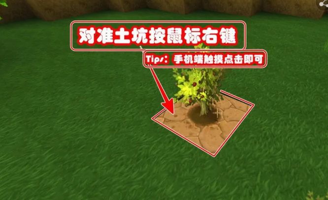 《迷你世界》种树方法