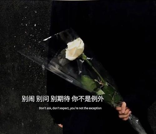《抖音》别闹别问别期待你不是例外图片分享