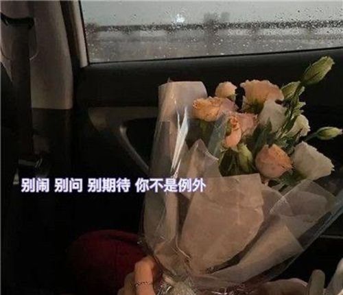 《抖音》别闹别问别期待你不是例外图片分享