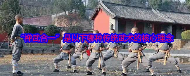 “禅武合一”是以下哪种传统武术的核心理念