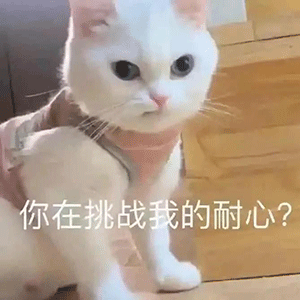 《抖音》大爷变魔术把我当傻子梗的含义及出处介绍